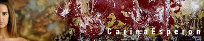 > Carina Esperon > Pagina Principal > Home Page